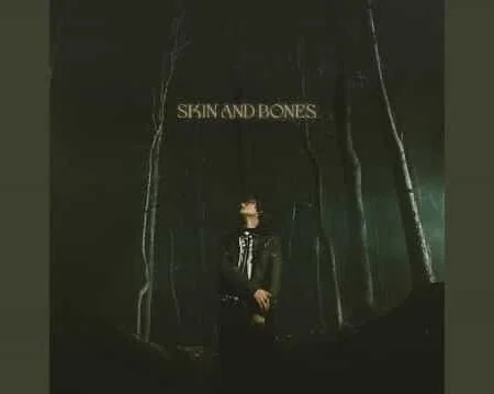 Skin and Bones Lyrics Meaning - David Kushner